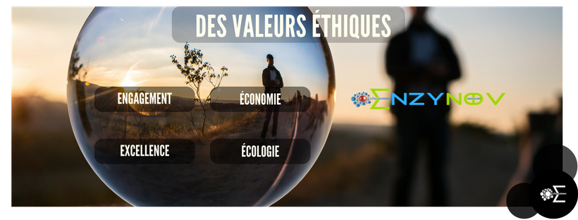 valeurs en entreprise